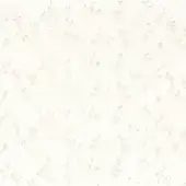 Lison Sheer Recycle - Neige